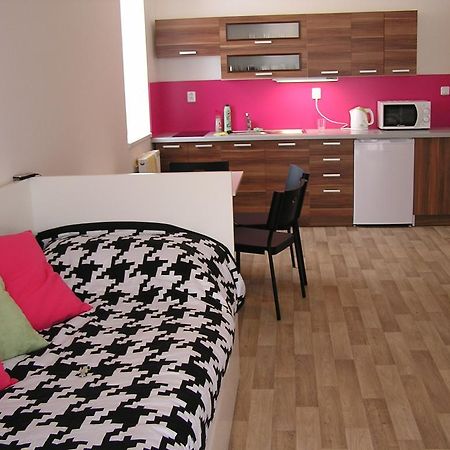 Apartment Třeboň Zimmer foto
