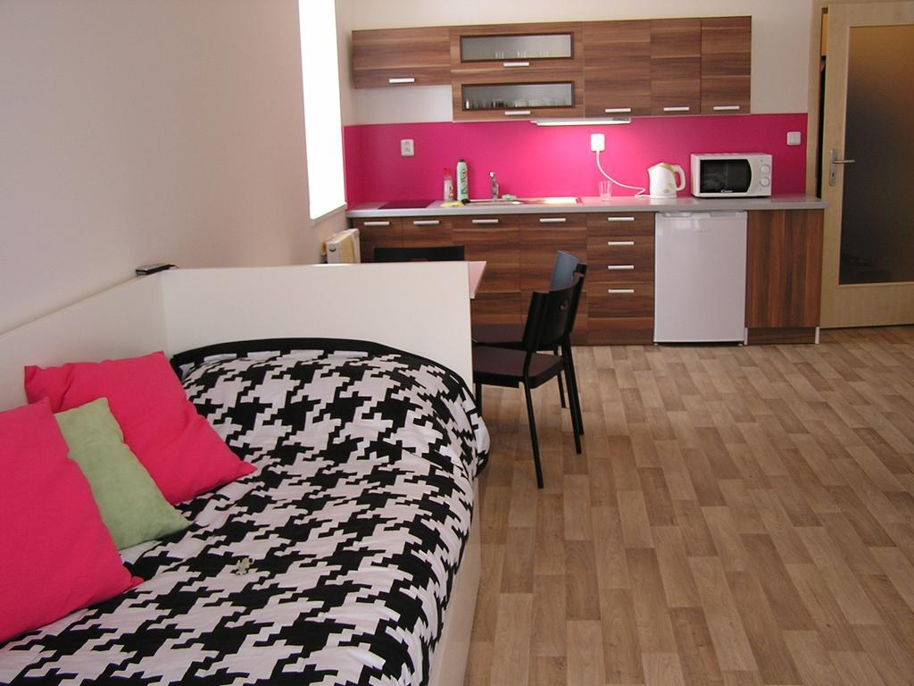 Apartment Třeboň Zimmer foto